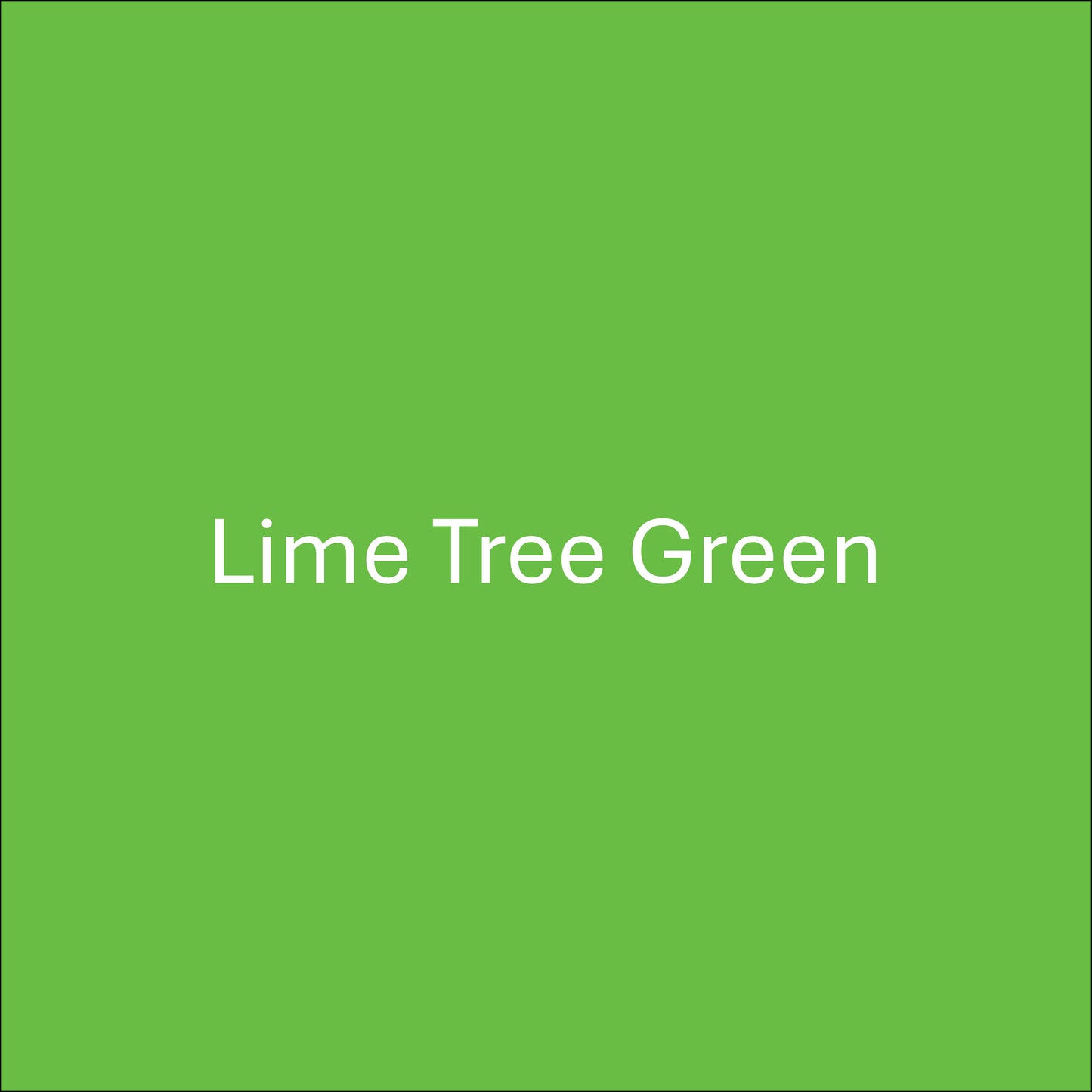 Lime Tree Green - Oracal 651 Permanent Adhesive Vinyl