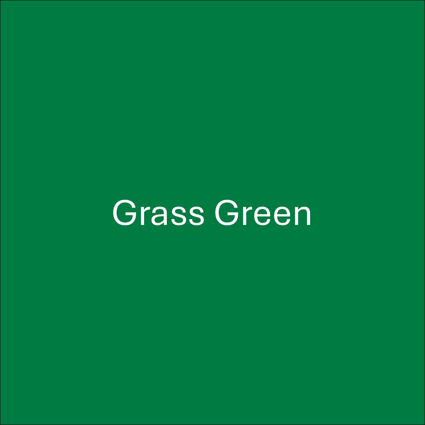 Grass Green - Oracal 651 Permanent Adhesive Vinyl