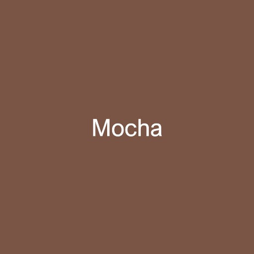 12" Mocha - Siser EasyWeed Heat Transfer Vinyl (HTV)